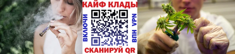 Альфа ПВП Шагонар