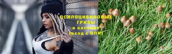 прущие крисы Балахна